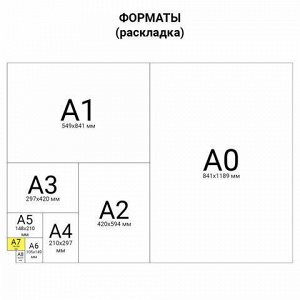 Блокнот МАЛЫЙ ФОРМАТ (64х82 мм) А7, 40 л., склейка, пластиковая 3D обложка, без линовки, BRAUBERG, "Собаки", ассорти, 128084