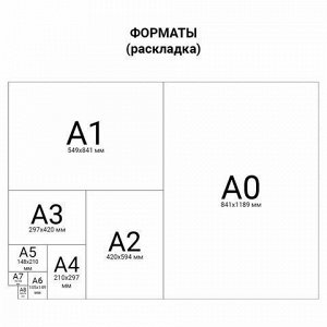 Блокнот МАЛЫЙ ФОРМАТ (85х165 мм) А6, 80 л., спираль, твердый переплет, без линовки, ручка, подарочная упаковка, BRAUBERG, "Лиса", 128412