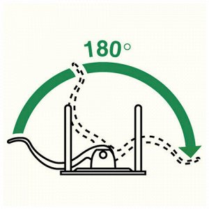 Папка-регистратор LEITZ, механизм 180°, покрытие пластик, 80 мм, синяя, 10101235P