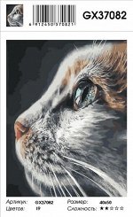 Картина по номерам