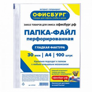 Папки-файлы перфорированные ОФИСБУРГ, А4, комплект 100 шт., гладкие, 30 мкм, 227525