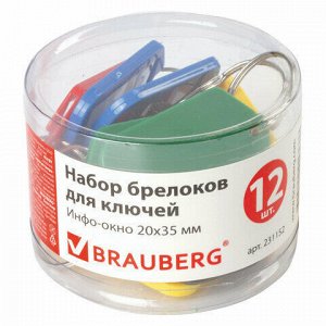 Бирки для ключей КОМПЛЕКТ 12 шт., длина 50 мм, инфо-окно 35х20 мм, АССОРТИ, BRAUBERG, 231152