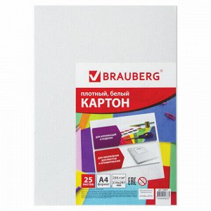 Картон белый А4 МЕЛОВАННЫЙ (глянцевый), 25 листов, в пленке, BRAUBERG, 210х297 мм, 124021