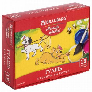 Гуашь BRAUBERG "МАГИЯ ЦВЕТА", 12 цветов по 20 мл, без кисти, картонная упаковка, 190557