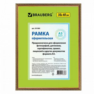 Рамка 30х40 см, пластик, багет 16 мм, BRAUBERG "HIT5", бронза с двойной позолотой, стекло, 391080