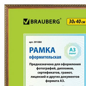 Рамка 30х40 см, пластик, багет 16 мм, BRAUBERG "HIT5", бронза с двойной позолотой, стекло, 391080