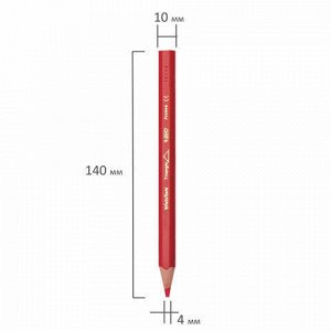 Карандаши цветные утолщенные BIC "Kids Evolution Triangle", 12 цветов, пластиковые, трехгранные, картонная упаковка, 8297356