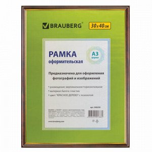 Рамка 30х40 см, пластик, багет 14 мм, BRAUBERG "HIT", красное дерево с позолотой, стекло, 390259