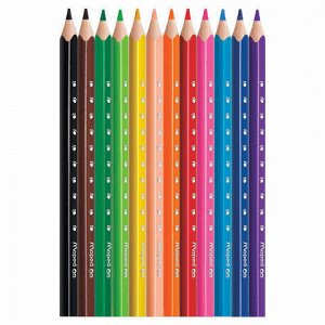 Карандаши цветные утолщенные MAPED (Франция) "Pulse", 12 цветов, пластик, трехгранные, заточенные, европодвес, 834352