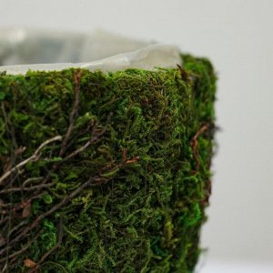 Корзина плетёная с натуральным декором, зелёная