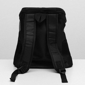 Рюкзак для переноски кошек и собак, 31,5 х 25 х 33 см, черный