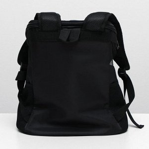 Рюкзак для переноски животных, 31,5 х 25 х 33 см, черный