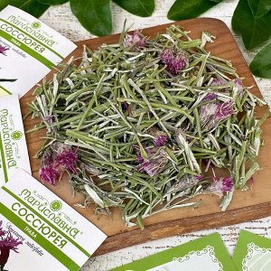 СОССЮРЕЯ ИВОЛИСТНАЯ (ТРАВА)