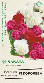 Бегония Королева F1 вечноцв. махровая смесь, гранул. 4 шт. пробирка, Саката серия Эксклюзив