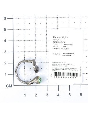 Кольцо из серебра с бирюзой TSR01651-R-TQ