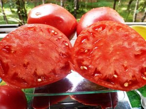 Помидоры Сердце Тибета