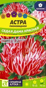 Астра Седая Дама Красная Пионовидная/Сем Алт/цп 0,1 гр.