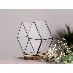 Флорариум «Соты 3d», стекло, швы чёрные