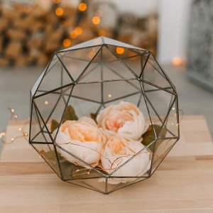 Флорариум «Сложный», стекло, швы серебро