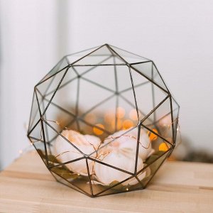 Флорариум «Сложный», стекло, швы серебро