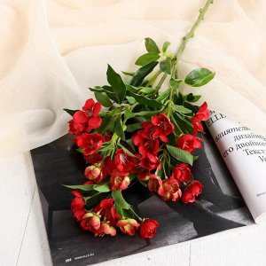 Цветы искусственные "Мирт обыкновенный" 3х60 см, красный