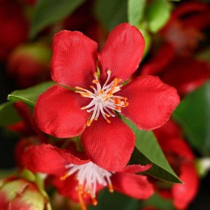 Цветы искусственные "Мирт обыкновенный" 3х60 см, красный