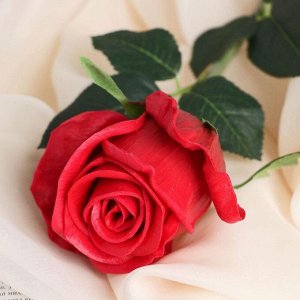 Цветы искусственные LIVE "Роза нежная" 6х50 см, красный