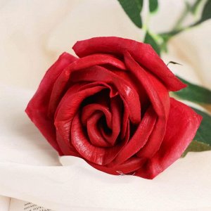 Цветы искусственные LIVE "Роза королевская" 7х55 см, бордовый
