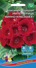 Цветы Глоксиния Императрица F1 Винно-Красная (УД) Новинка!!!