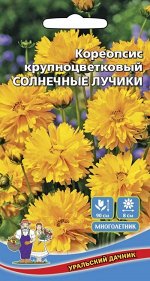 Цветы Кореопсис крупноцветковый - Солнечные Лучики (УД) Новинка!