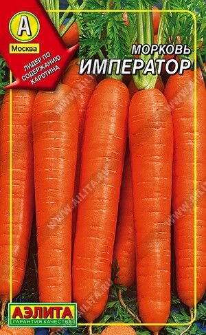 Морковь Император 1г