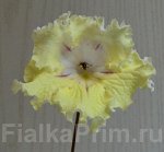 Акция