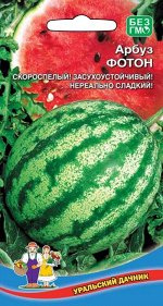 Арбуз Фотон (УД) (Надёжный, скороспелый, нереально сладкий, устойчив к похолоданиям)