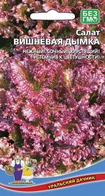Салат Вишневая Дымка (УД) (среднеспелый, листовой, красноватый, отличный вкус)