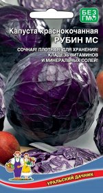 Капуста краснокочанная Рубин МС (Марс) (среднеспелая, до 2 кг, не растрескивается)