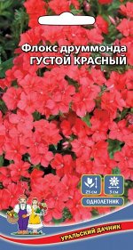 Цветы Флокс друммонда - Ред (Марс) (30-45 см, диаметр 3,5 см, пурпурно-красный)