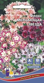 Цветы Флокс Мерцающая Звезда (Марс) Новинка!!!