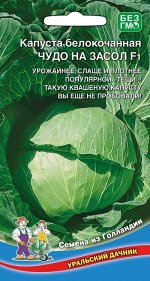 Капуста б/к Чудо на засол F1 (УД) (Среднеспелая, идеальна для квашения и засола, кочан до 4 кг)