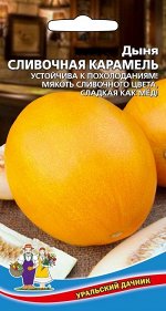 Дыня Сливочная Карамель (УД) Новинка!