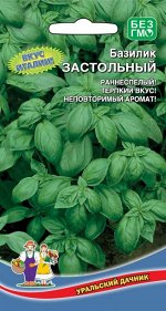 Базилик Застольный овощной (Марс) (сорт с сильным,пронзительным ароматом,крупные глянцевые листья,устойчив к болезням)