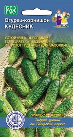 Огурец Кудесник - корнишон (Марс) Новинка! (среднеспелый,пчелоопыляемый,до9см,устойчив к болезням,без горечи,универсальный)