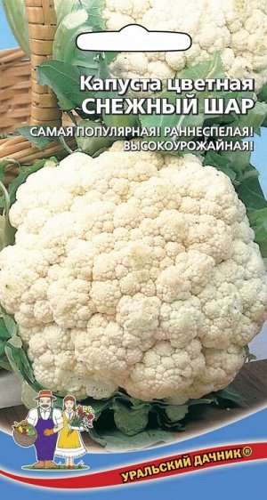 Капуста Снежный Шар (Марс) (ранний,головка крупная,плотная,белоснежная,до 1 кг,для заморозки)