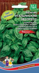 Базилик Итальянский Экспресс (УД) (Зелёный, скороспелый, высокоароматичный, декоративный)