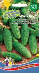 Огурец Малышок (Марс) Новинка!!!
