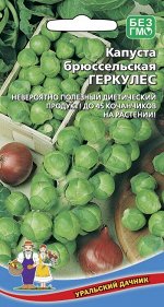Капуста брюссельская Геркулес (Марс) (поздняя, на растении 30 кочанчиков, по 15-20 г)
