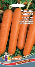 Морковь Ромоса (УД) ГОЛЛАНДИЯ (Поздний, цилиндрический, для длительного хранения и переработки)