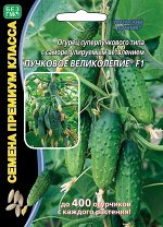 Огурец Пучковое великолепие F1 ® (УД) (Супербукетный до 12шт в узле,активно плодоносит до заморозков в широком темпер. диапазоне,особенно реком. в Северных районах,и на участках располож. в низинах,гд