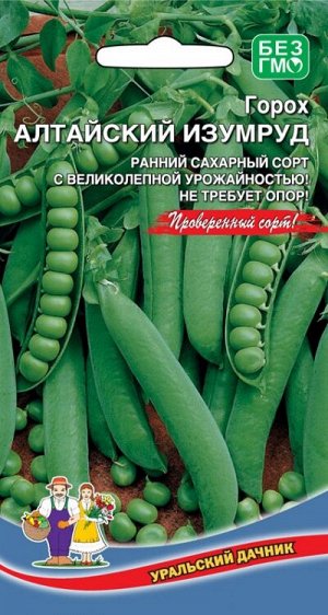 Горох Алтайский Изумруд (УД) (Раннеспелый, сахарный, с великолепной урожайностью, не требует опор)