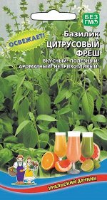 Базилик Цитрусовый Фреш (УД) Новинка!!!