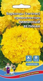 Цветы Бархатцы Лимонный Великан (УД) Новинка!!!